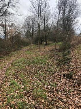 Foto - Grundst&uuml;ck in Groß-Umstadt