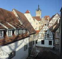 Charmante 2,5-Zimmer-Altbauwohnung mit 88 m² in bester Altstadtlage von Bad Wimpfen