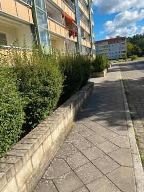 Foto - 3 Zimmer Etagenwohnung zur Miete in Torgelow