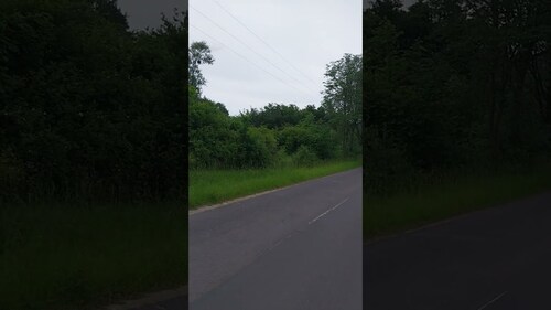 Foto - 