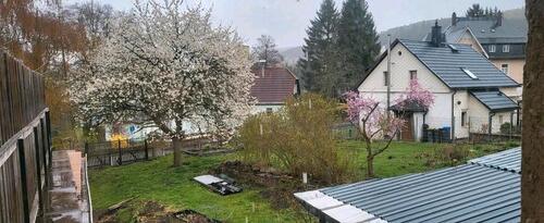 Foto - Kirschbaum 1660m2 Grundstück + Haus ca. 300m2 + Nebengelass 450m2