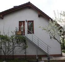 Schöne 5 Raum Wohnung auf dem Land mit vielen Möglichkeiten - Küstriner Vorland Schöne 5 Raum Wohnung auf dem Land mit vielen Möglichkeiten - Küstriner Vorland
