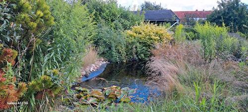 Foto - Grundstück zur Miete in Wolfenbüttel
