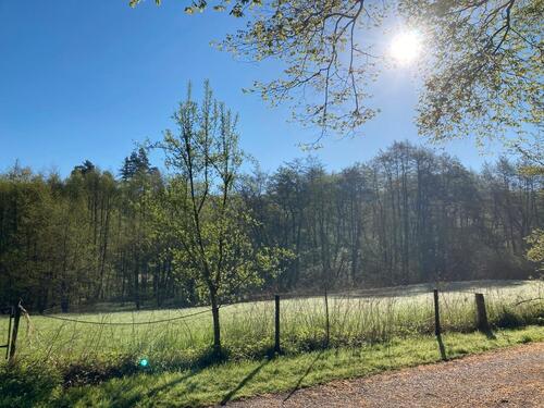 Foto - Fachwerkhaus in Wellerode - 200.000,00 EUR Kaufpreis,