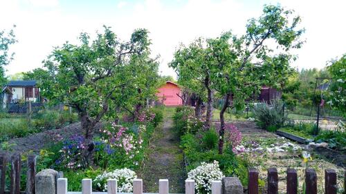 Foto - wunderschöner Kleingarten in Mockau-Mitte abzugeben