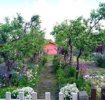 wunderschöner Kleingarten in Mockau-Mitte abzugeben - Leipzig Nordost