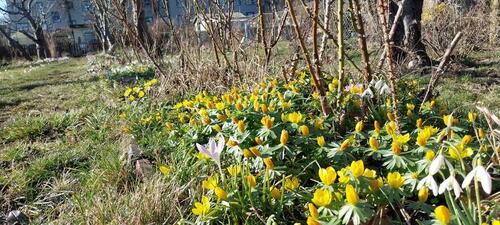 Foto - Grundst&uuml;ck zur Miete in Leipzig