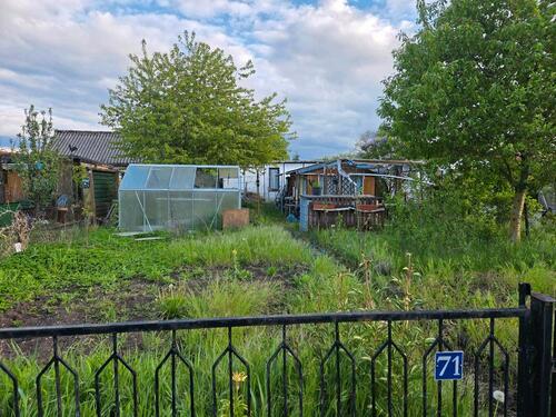 Foto - Garten zur individuellen Gestaltung