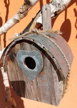 Foto - Miete auf Zeit !! 1 Zi. m Dusche u WC