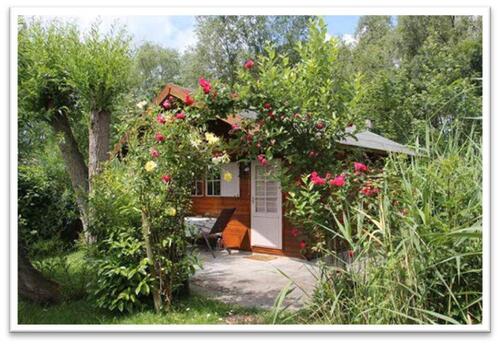 Foto - Einfamilienhaus in Garz/Rügen zum Kaufen