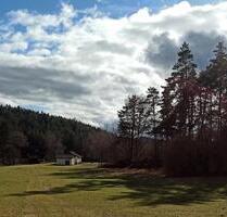 Idyllische Fast - Alleinlage im GRÜNEN, Nähe Happurg Stausee