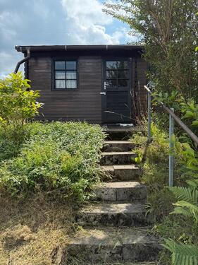 Foto - Pachtgarten im Kleingartenverein