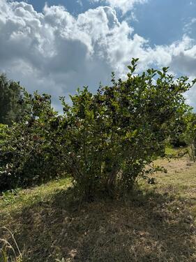Foto - Grundstück in Suhl
