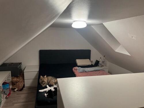 Foto - 2 Zimmer Dachgeschoßwohnung in Kirchardt