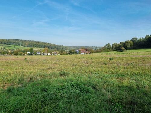 Foto - Grundstück zur Miete in Gemünden (Felda)