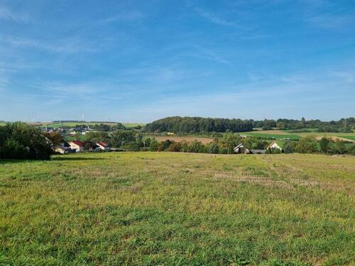 Foto - Grundstück in Gemünden (Felda)