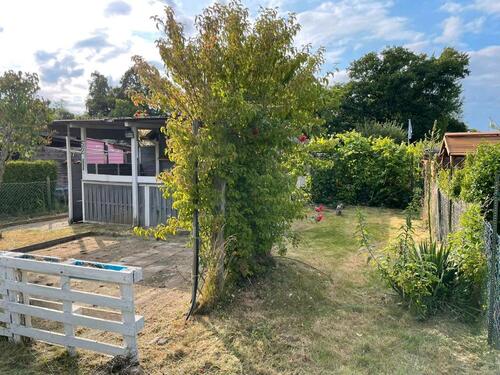 Foto - Kleingarten zur Pacht - ab sofort