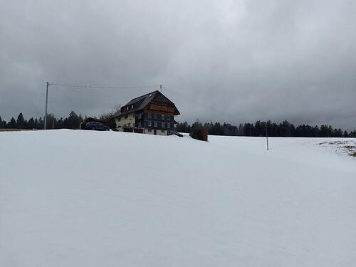 Foto - 3-Zimmer Wohnung bei St. Märgen