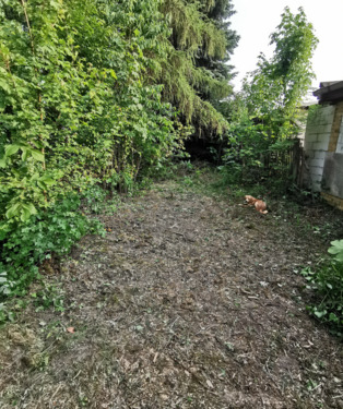 Foto - Gartengrundstück (450 m²) in ruhiger Wohnlage – inkl. Stellplatz