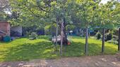 Foto - Mehrfamilienhaus, Wohnhaus in Cottbus zum Kaufen
