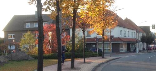 Foto - in 49586 Neuenkirchen Erdgeschoss-Whg. zu vermieten