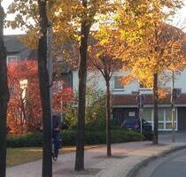 in 49586 Neuenkirchen Erdgeschoss-Whg. zu vermieten