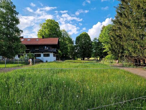 Foto - gemütliche Ferienwohnung auf unserem Kinderponyhof