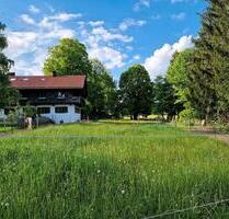gemütliche Ferienwohnung auf unserem Kinderponyhof - Bernbeuren
