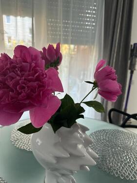 Foto - 