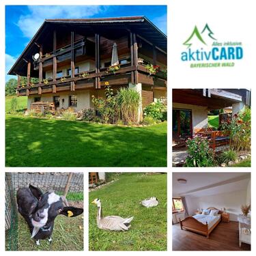 Foto - Ferienwohnung Bayern, Arber, Osser sehr ruhige Lage