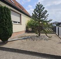 Doppelhaushälfte mit großem Grundstück in Grüneberg - Löwenberger Land