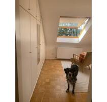 Zwei Zimmer, Küche, Bad - mit Ausblick - Mainz Ebersheim