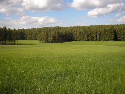 Foto - Grünland Ackerland - 1.234,00 EUR Kaltmiete, ca.  0,00 m²
