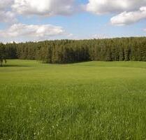 Grünland Ackerland - 1.234,00 EUR Kaltmiete, ca.  0,00 m² in Feldatal (PLZ: 36325)