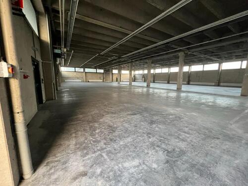 Foto - Flexible Lager- oder Produktionshalle in Hirschlanden – teilbar a