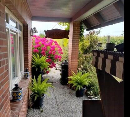 Foto - 5 Zimmer Einfamilienhaus zum Kaufen in Großheide