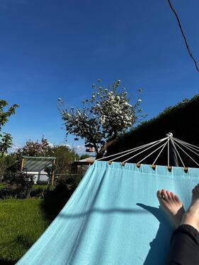 Foto - Grundstück zur Miete in Plauen