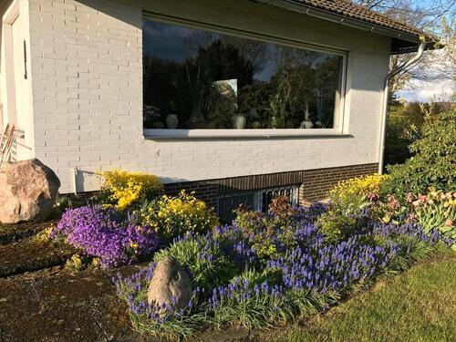 Foto - 5 Zimmer Bungalow zum Kaufen in Walsrode