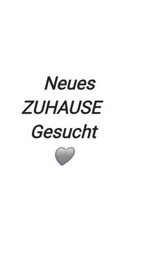 Foto - Wohnunsgesuch 2 bis 3 Zimmer in Emmendingen