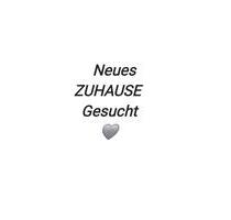 Wohnunsgesuch 2 bis 3 Zimmer in Emmendingen