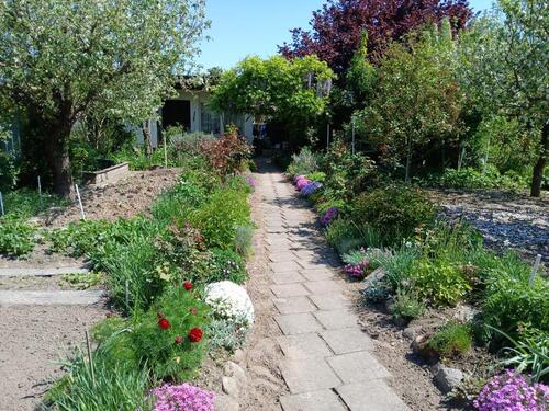 Foto - Grundstück in Böhlen zur Miete