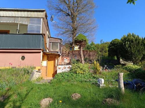 Foto - Garten mit massiven Haus und Ofen. Pachtgarten