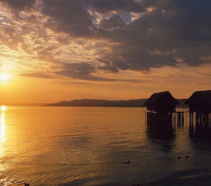 Foto - Ferienwohnung 200 Meter zum See