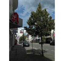 Parkplatz in Parkliftanlage sicher & zentral - Bad Lippspringe