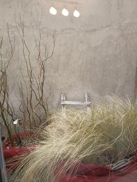 Foto - Ferienhaus Ferienwohnung ab 2026