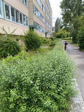 Foto - 