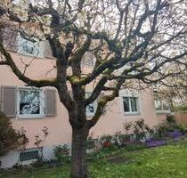 Stadthaus im Grünen – 150 m², 6 Zi., Garten, Garagen, sofort frei - Tettnang