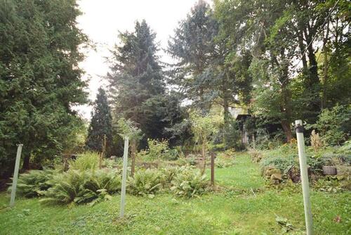 Foto - Einfamilienhaus in Blankenburg (Harz) zum Kaufen