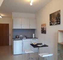 Apartment 1-Zimmer-Wohnung Ilmenau möbliert Balkon Stellplatz - Holzkirchen