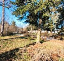 Bauernhaus in der Lausitz - 115.000,00&nbsp;EUR Kaufpreis, ca.&nbsp; 80,00&nbsp;m&sup2; in Berlin (PLZ: 12437) Treptow-Köpenick